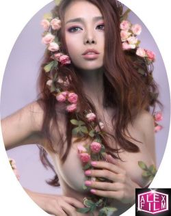 韩国r级理论片在线观看